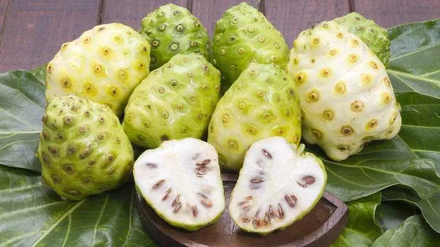 反胃可以吃什么水果