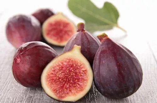 庤疮吃什么好得快