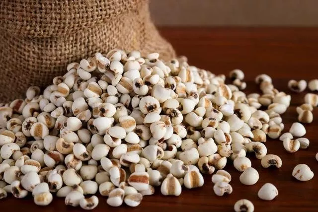 吃什么去湿气快