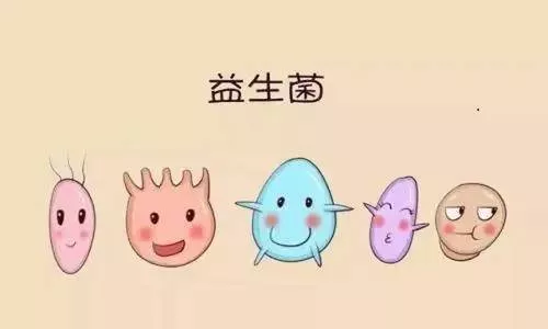 小孩吃什么益生菌好